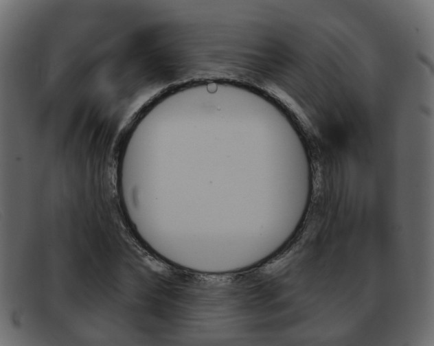 X0000093360878200710111306