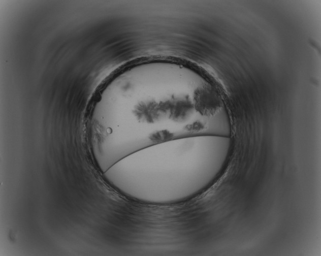X0000093360879200710111306