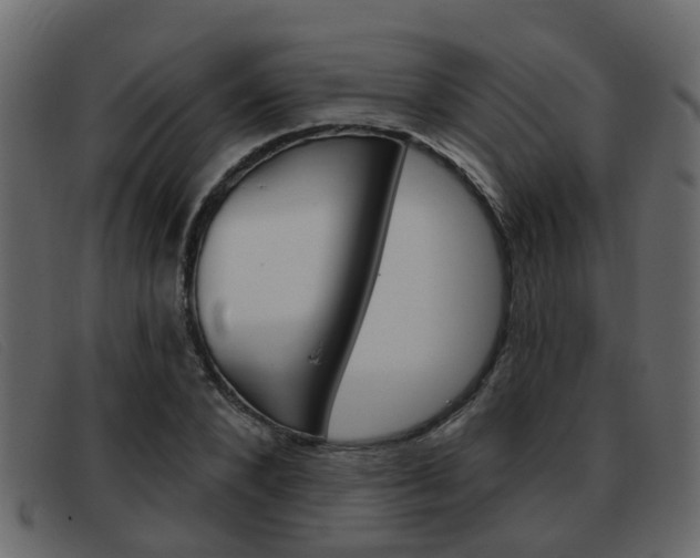X0000093360880200710111306