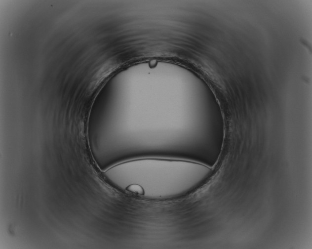 X0000093360881200710111306