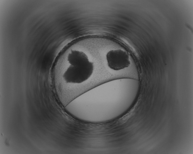 X0000093360883200710111306