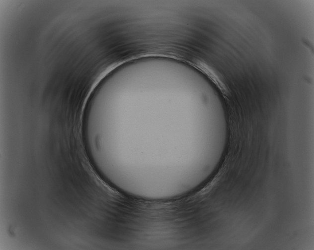 X0000093360884200710111306