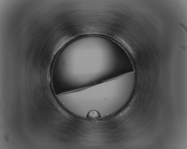 X0000093360885200710111306