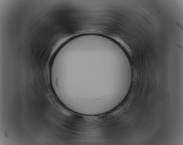 X0000093360886200710111306