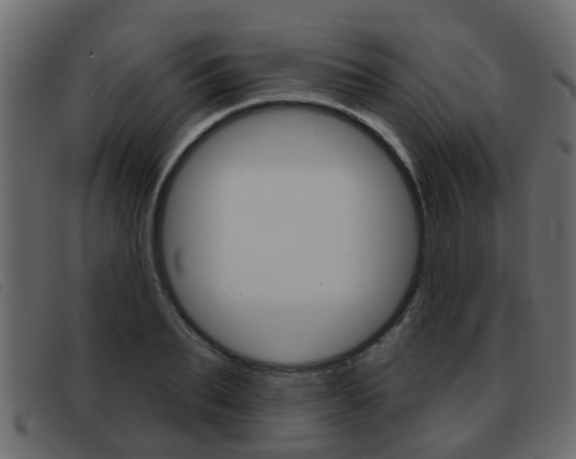 X0000093360887200710111306