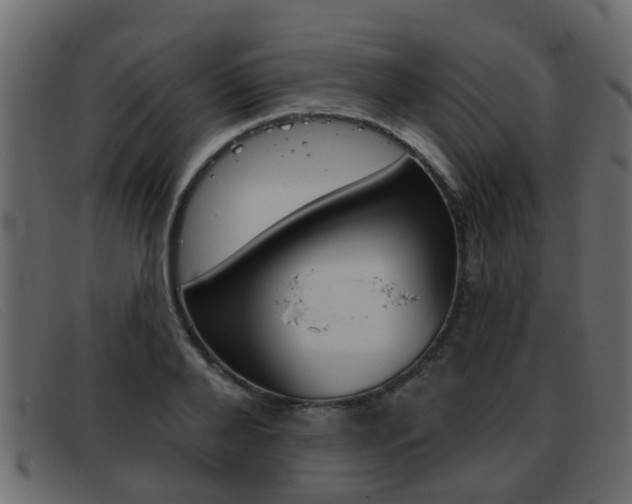 X0000093360888200710111306