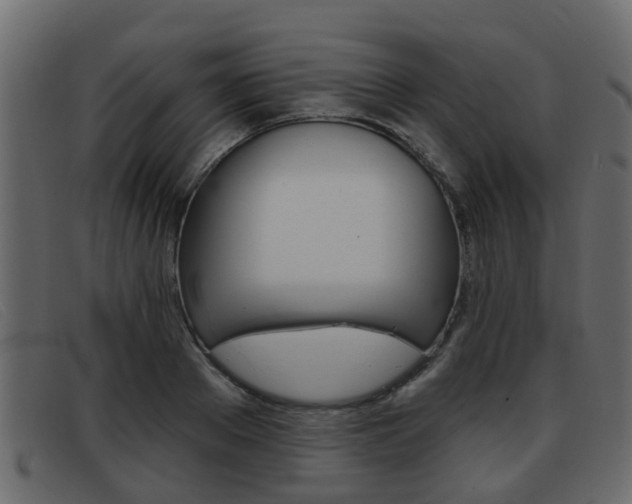 X0000093360889200710111306