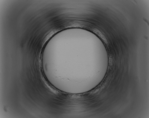 X0000093360890200710111306
