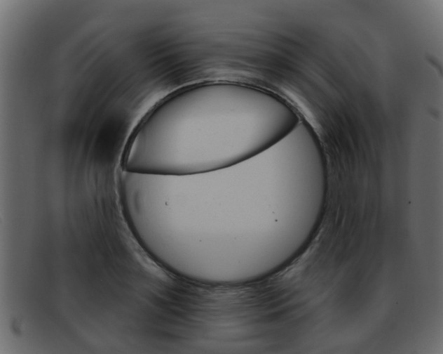 X0000093360891200710111306