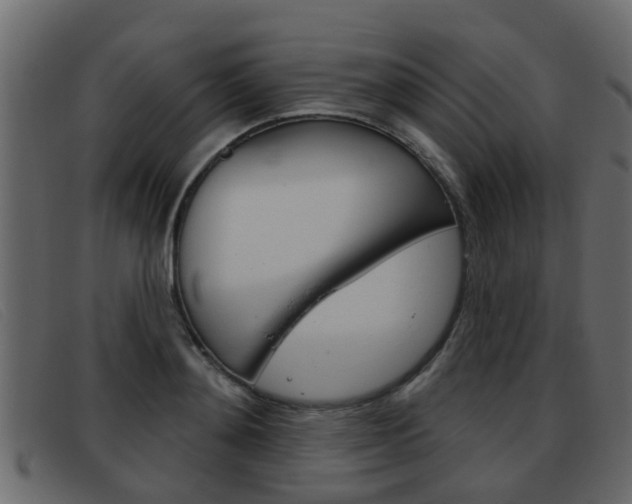 X0000093360892200710111306