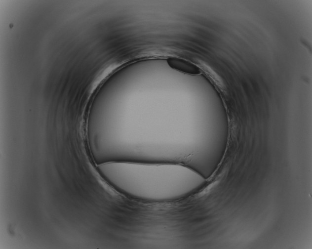 X0000093360893200710111306