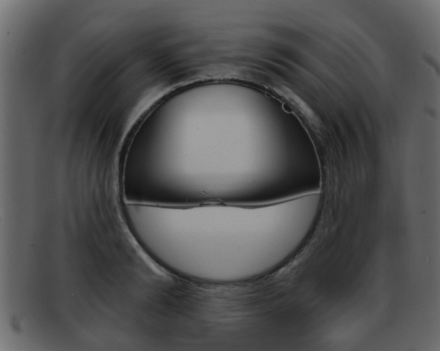 X0000093360894200710111306
