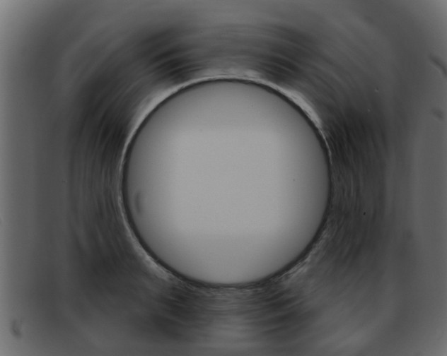 X0000093360895200710111306