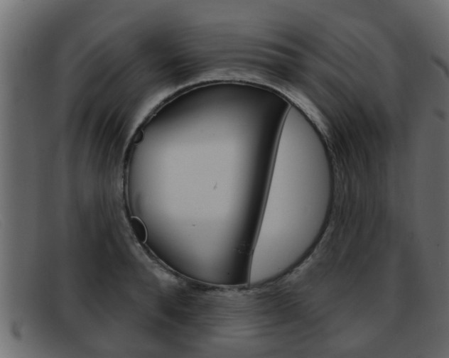 X0000093360896200710111306