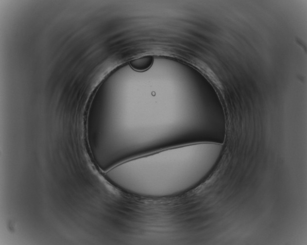 X0000093360898200710111306