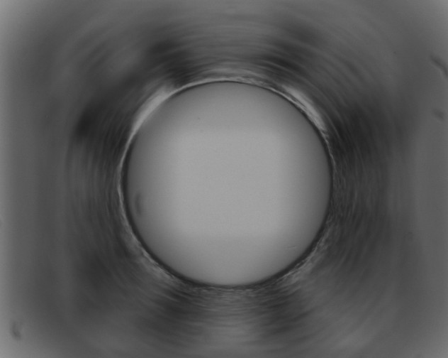 X0000093360899200710111306
