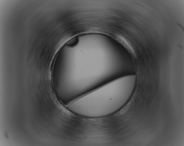 X0000093360900200710111306