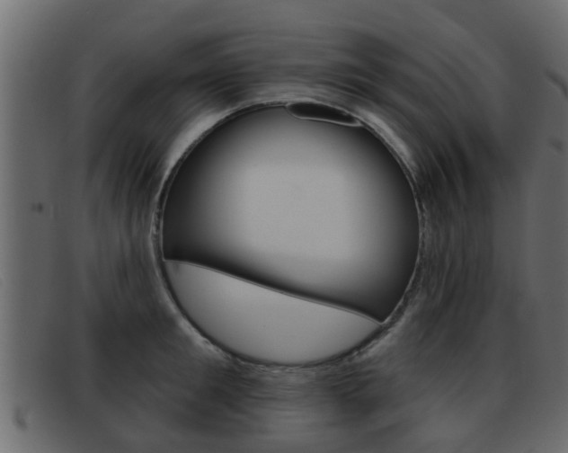 X0000093360901200710111306