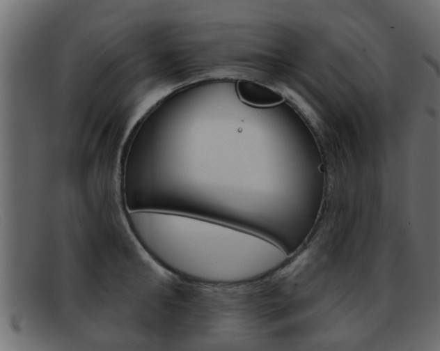 X0000093360902200710111306
