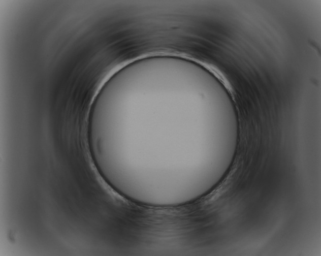 X0000093360903200710111306