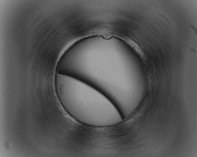 X0000093360904200710111306
