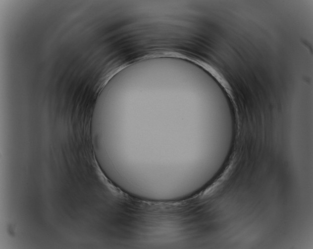 X0000093360905200710111306