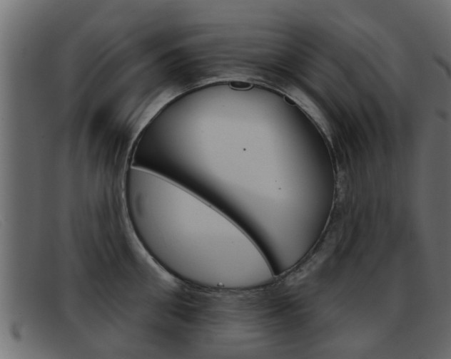 X0000093360906200710111306
