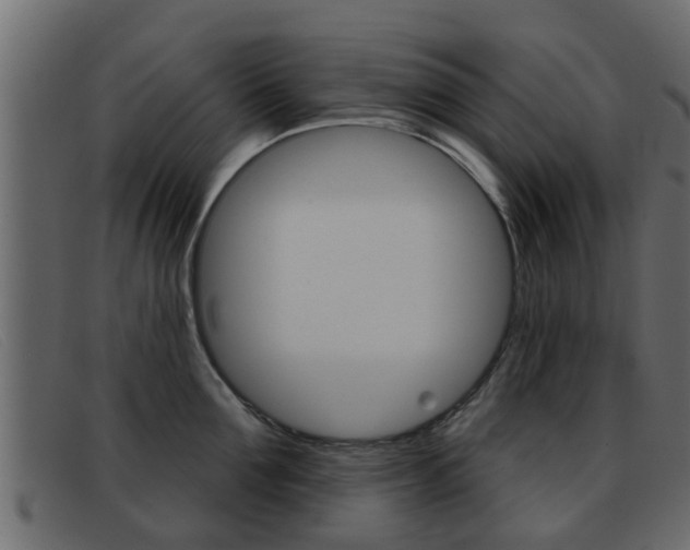 X0000093360907200710111306