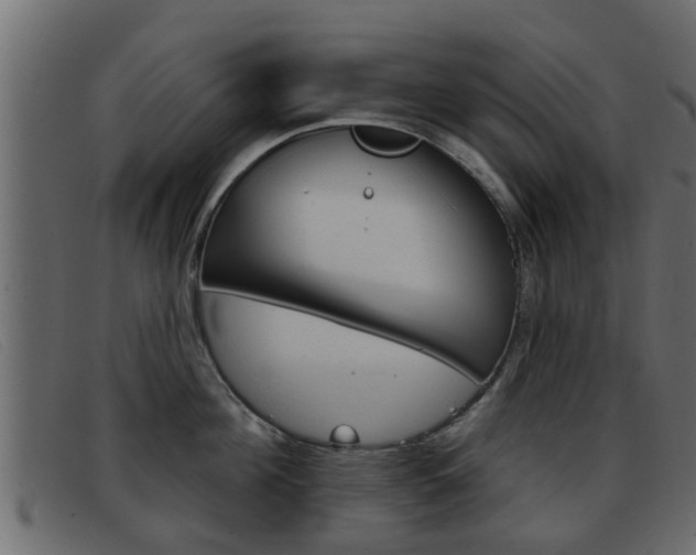 X0000093360908200710111306