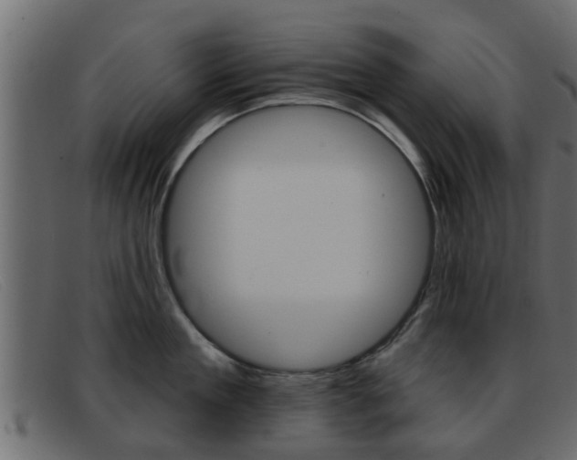 X0000093360909200710111306