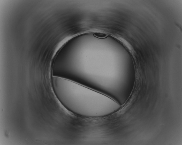 X0000093360910200710111306