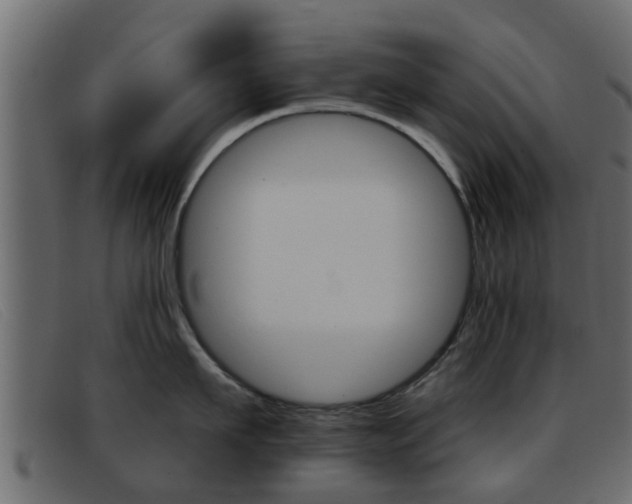 X0000093360911200710111306