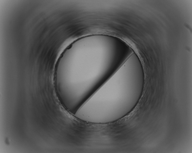 X0000093360912200710111306