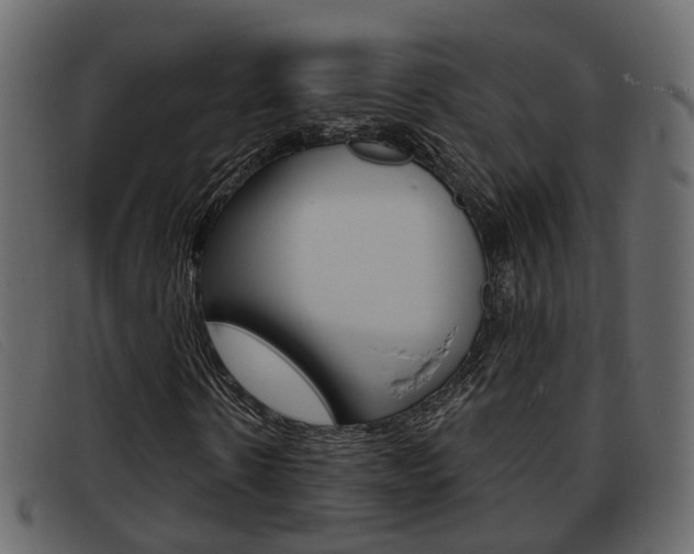 X0000093360914200710111305