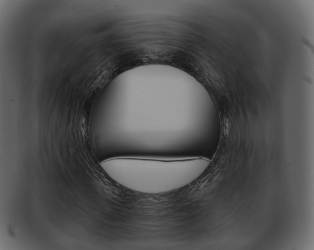X0000093360915200710111305
