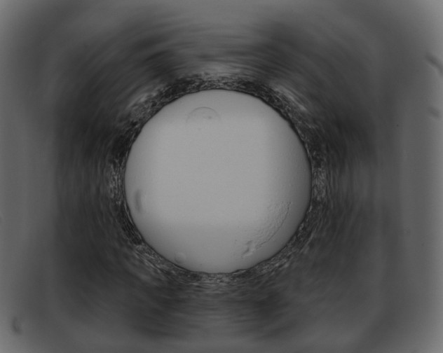 X0000093360917200710111306