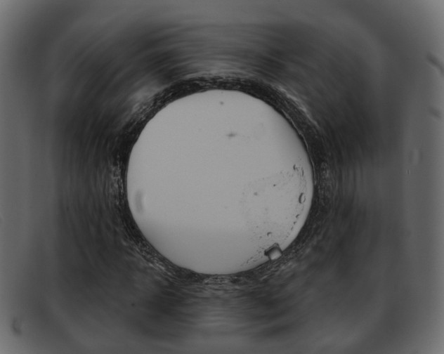 X0000093360918200710111306