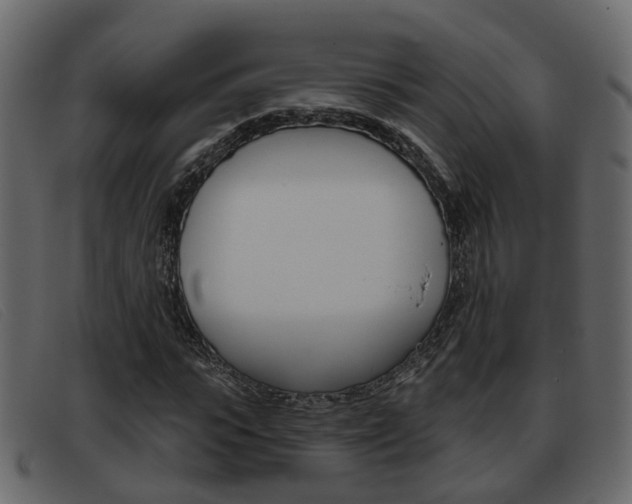X0000093360919200710111306