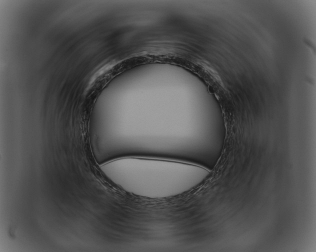 X0000093360920200710111306