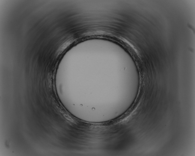 X0000093360921200710111306