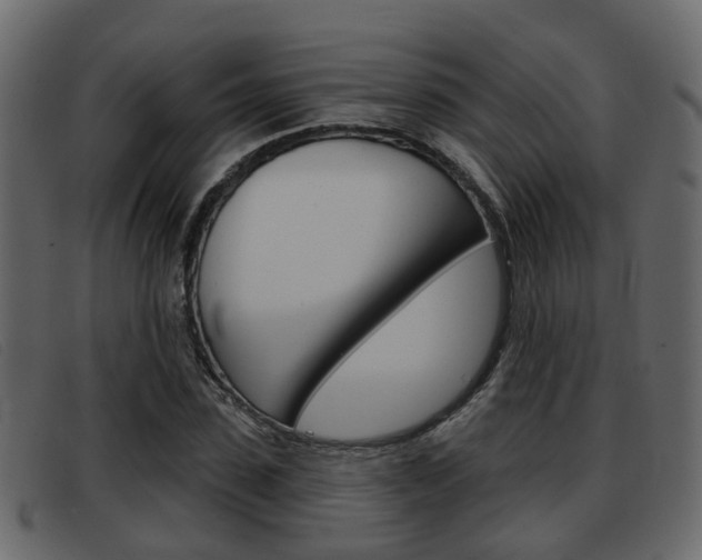 X0000093360923200710111306