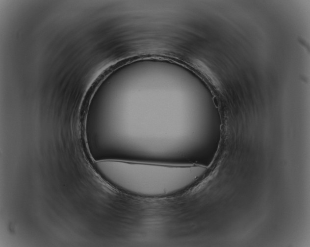 X0000093360924200710111306