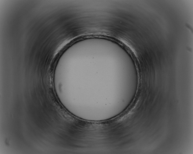 X0000093360925200710111306