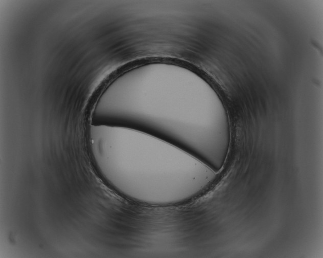 X0000093360926200710111306