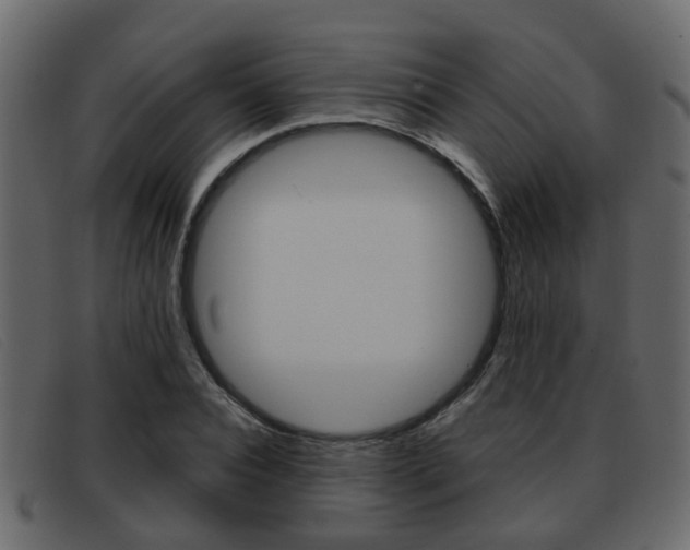 X0000093360928200710111306