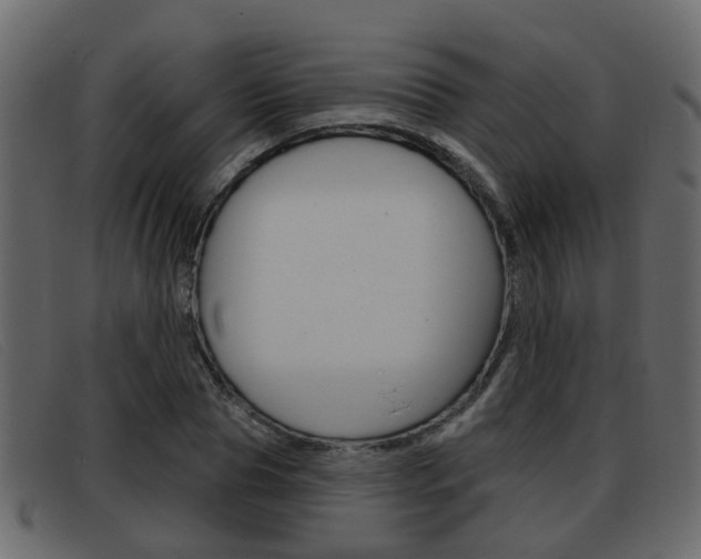 X0000093360929200710111306