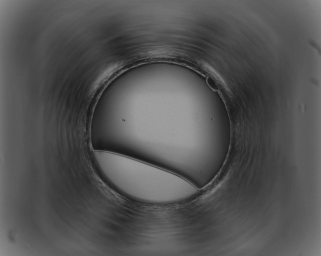 X0000093360930200710111306
