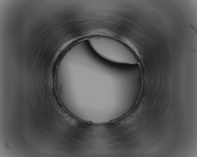 X0000093360931200710111306