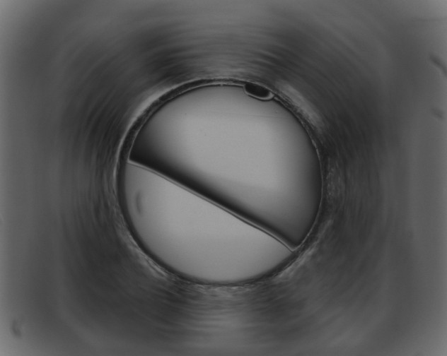 X0000093360932200710111306
