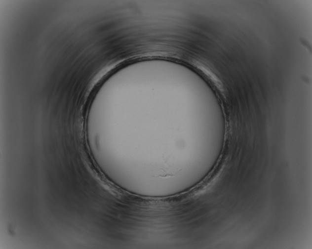 X0000093360933200710111306